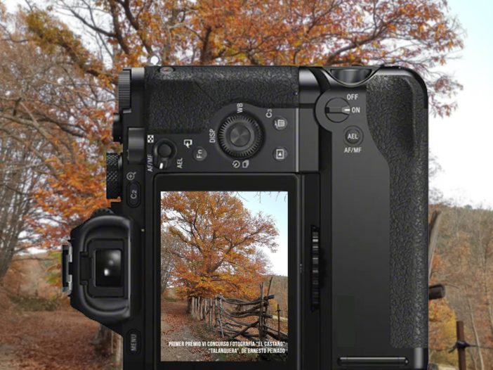 VII CONCURSO DE FOTOGRAFÍA "EL CASTAÑO"