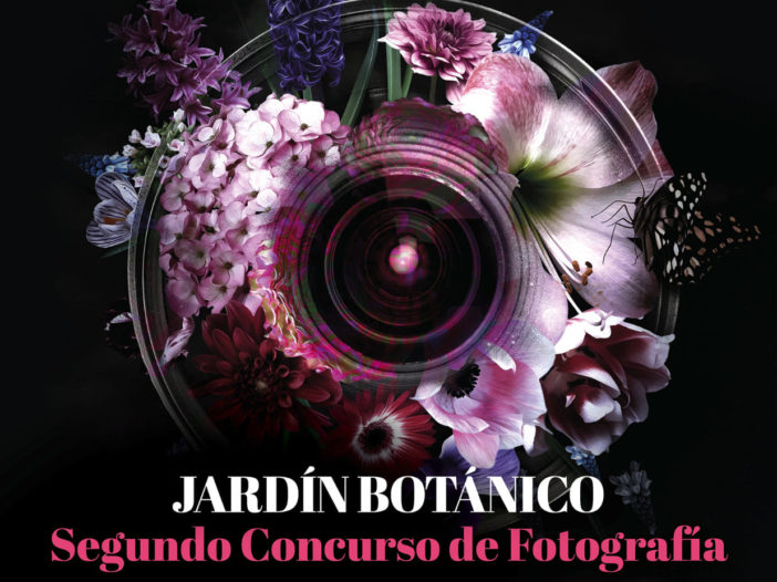 Concurso de Fotografía y Pintura en el el Jardín Botánico