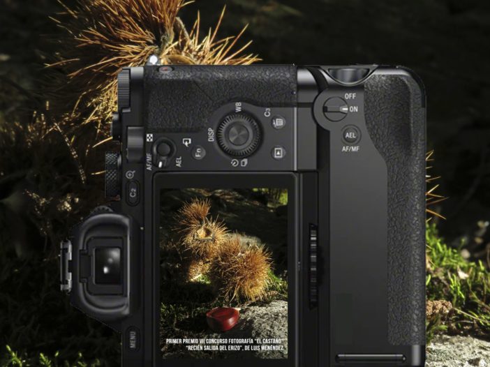 VIII CONCURSO DE FOTOGRAFÍA "EL CASTAÑO"