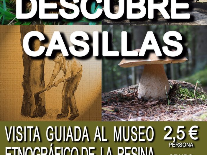 DESCUBRE CASILLAS