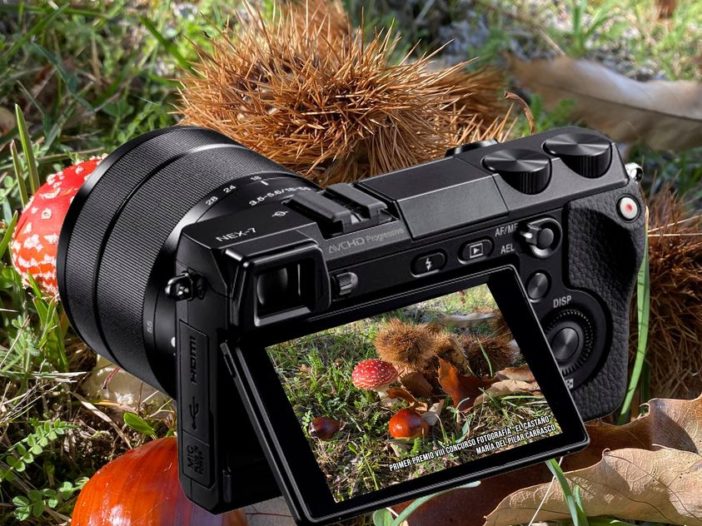 IX CONCURSO DE FOTOGRAFÍA "EL CASTAÑO"