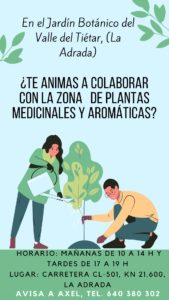colabora ayudando en el Jardín Botánico Valle del Tiétar con la nueva zona de plantas medicinales y aromáticas