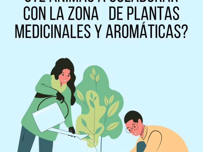colabora ayudando en el Jardín Botánico Valle del Tiétar con la nueva zona de plantas medicinales y aromáticas