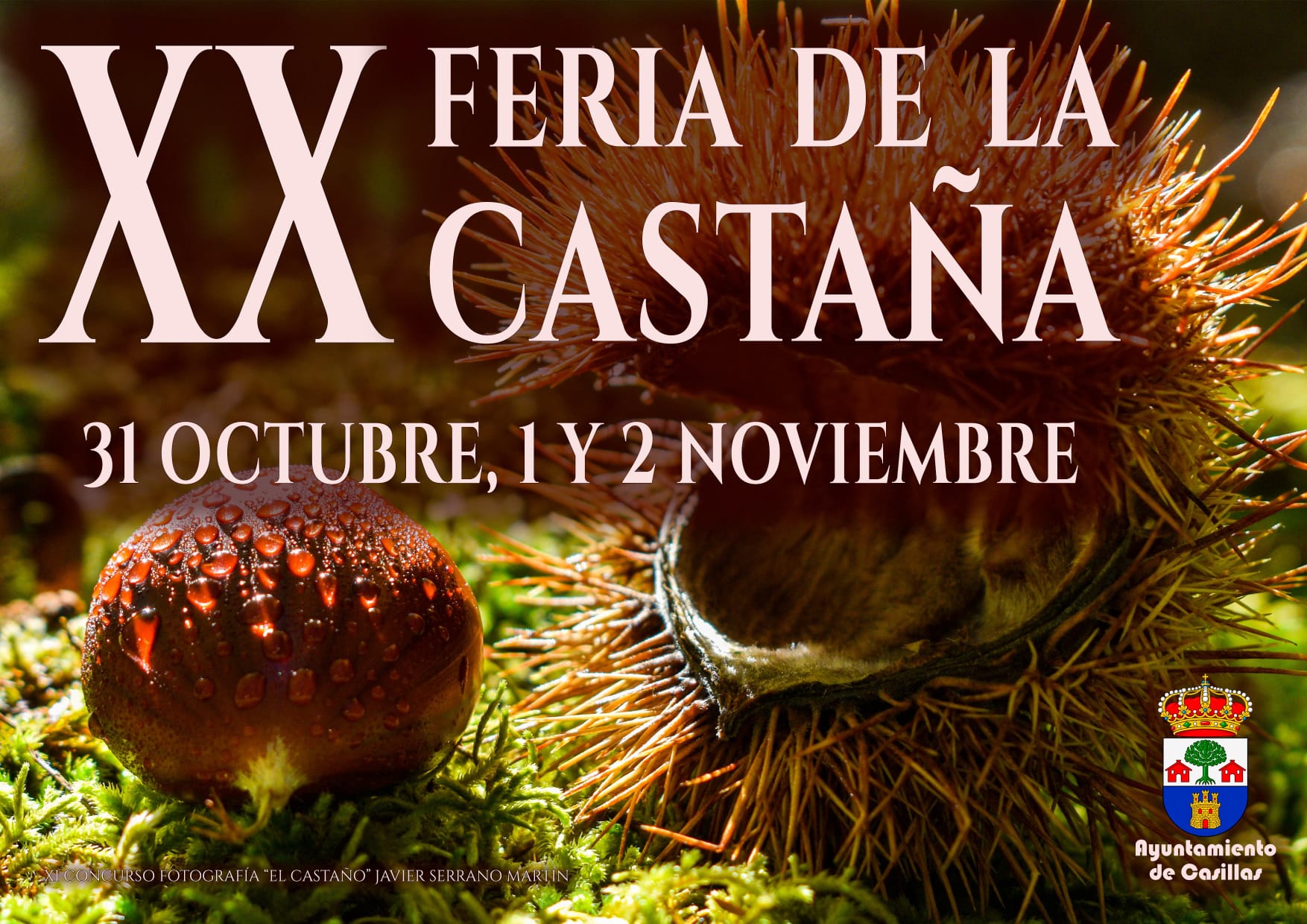 XX Feria de la Castaña